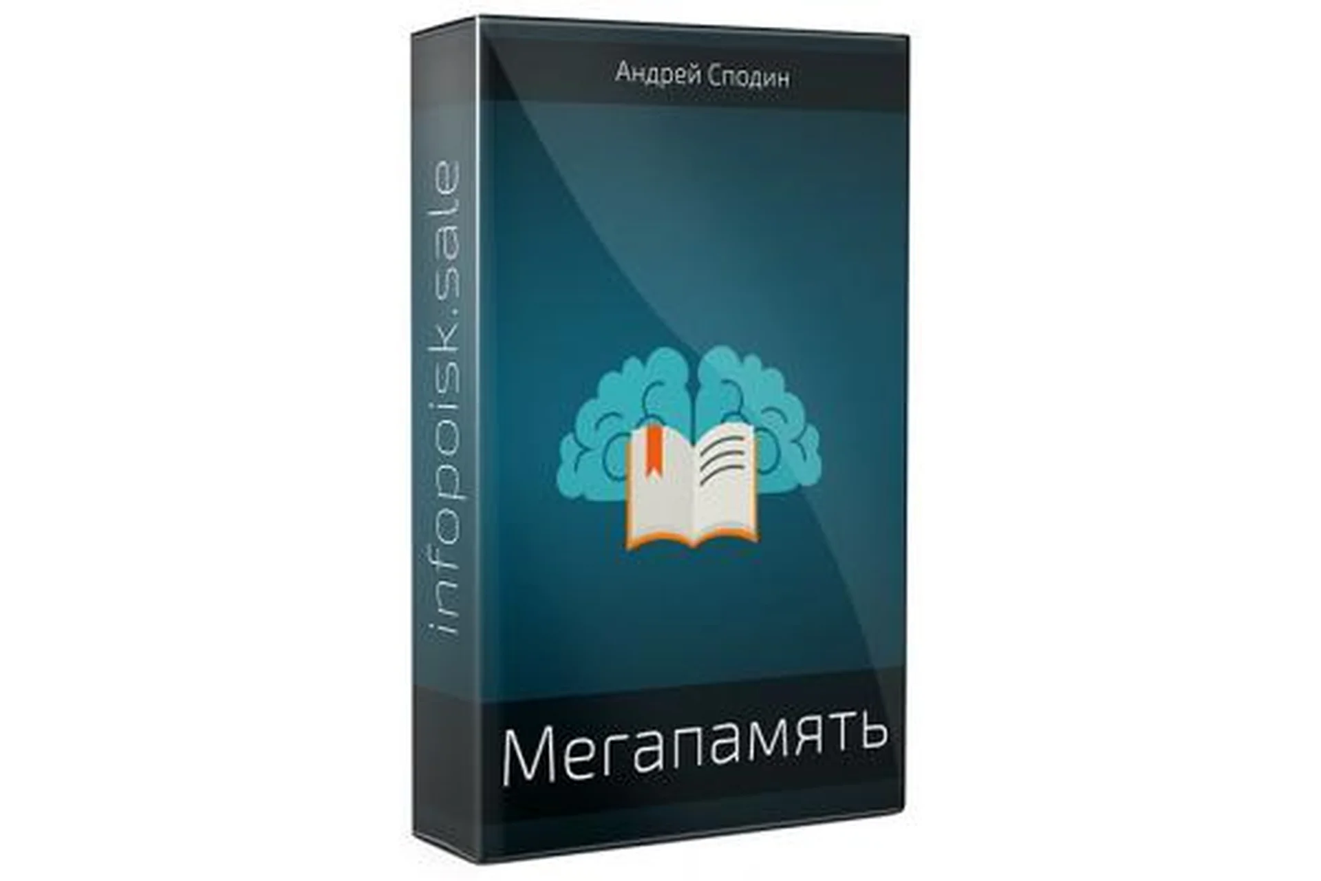 Мегапамять. 2015 (Андрей Сподин), фото 1 из 1.