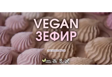 Vegan Зефир. Без поддержки (Мария Липская)