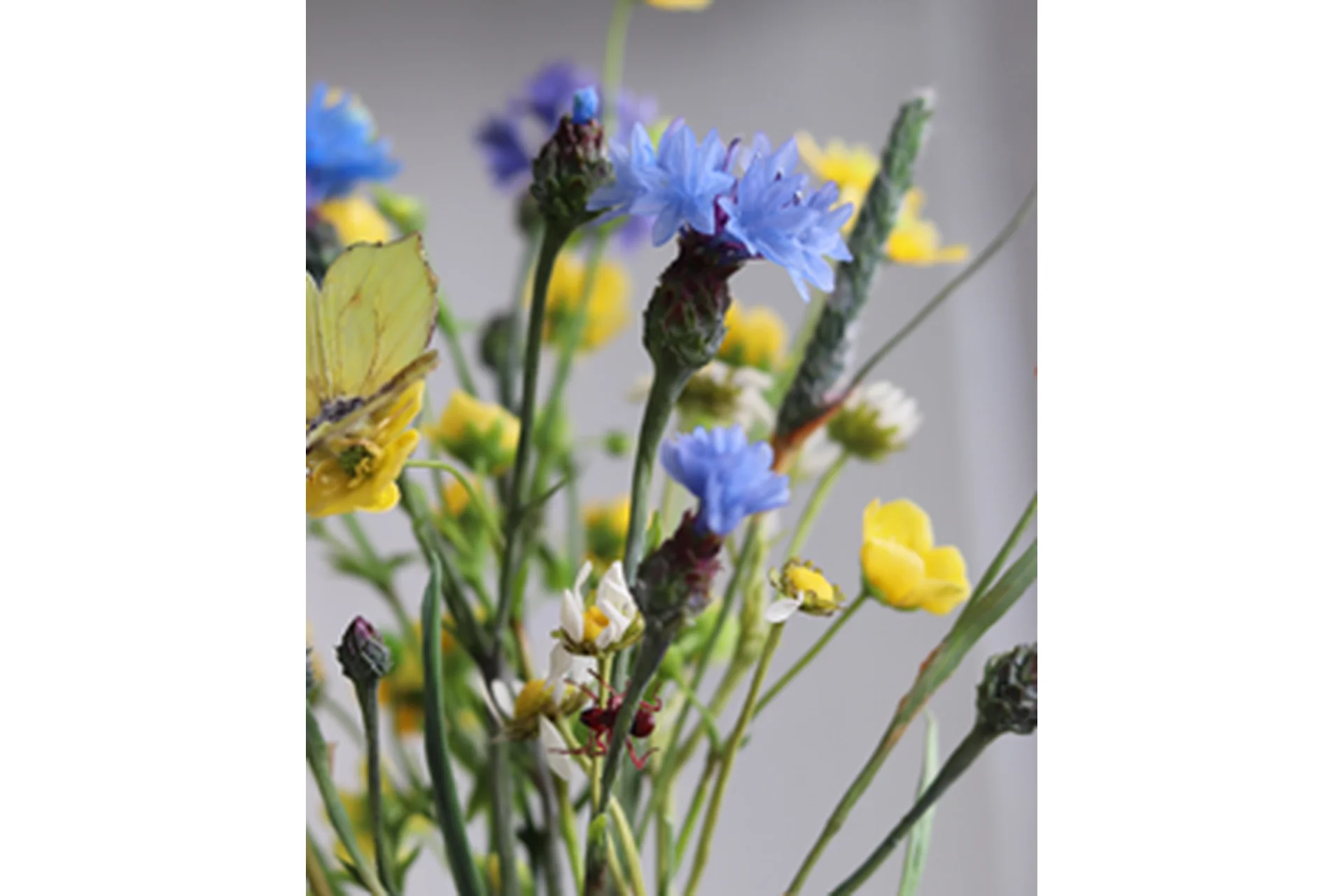 [La Florterra] Полевые цветы и насекомые. Тариф Расширенный (Любовь Мирошниченко), фото 1 из 1.