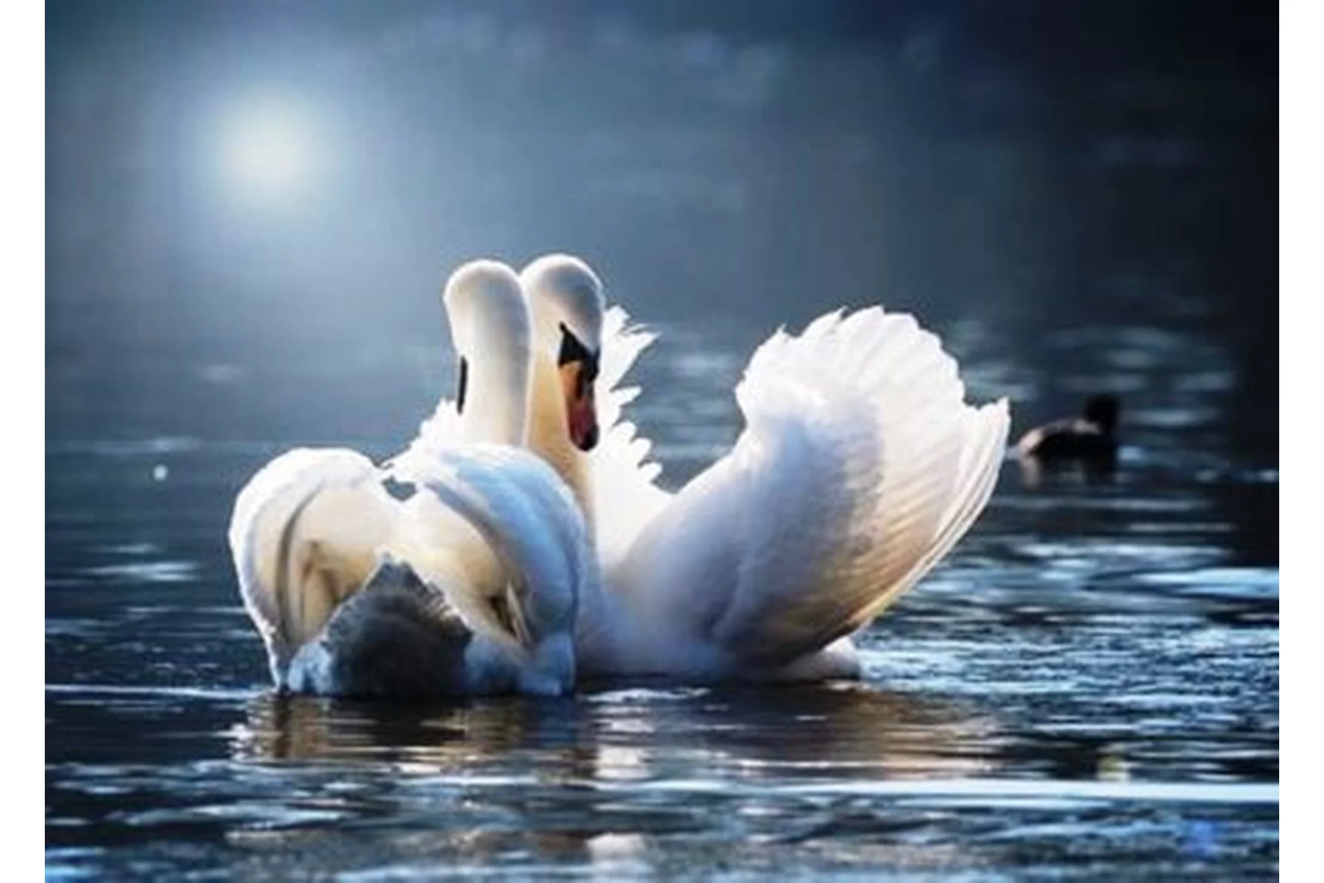 Совместимость партнеров в Бацзы (Галина Осецкая), фото 1 из 1.