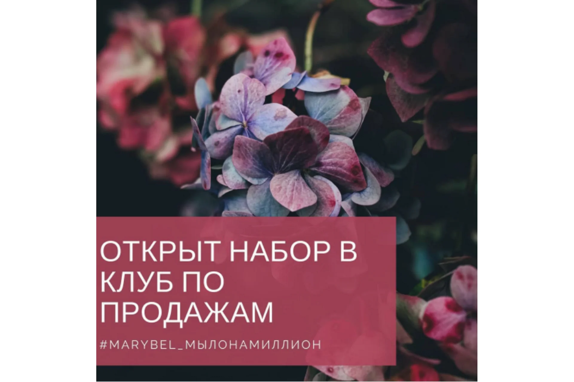 Мыло на миллион (Мария Беляева), фото 1 из 1.