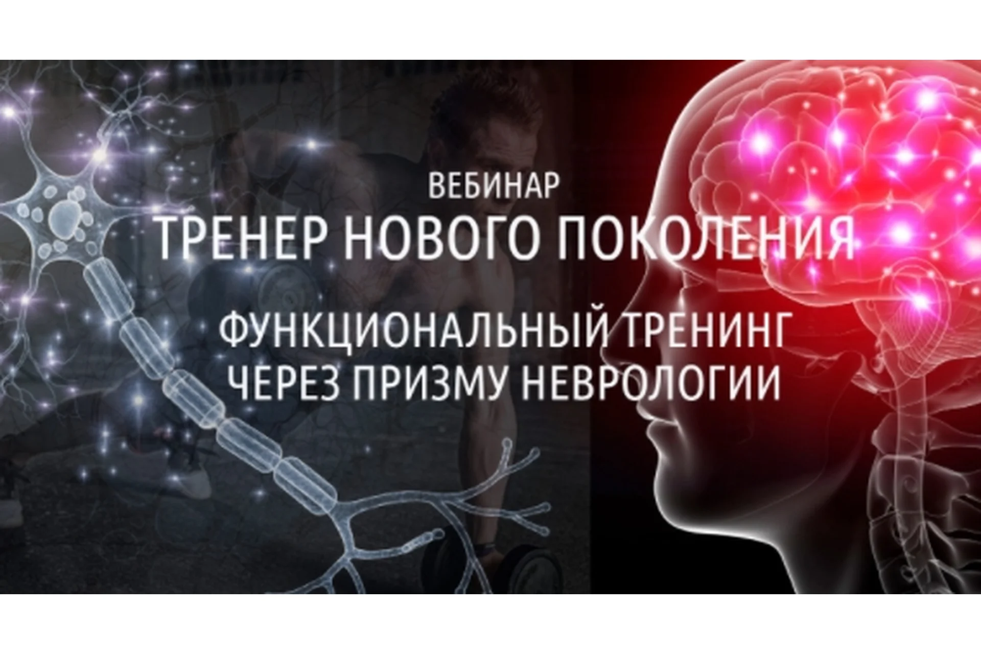 Тренер нового поколения. Функциональный тренинг через призму неврологии (Антон Шапочка), фото 1 из 1.