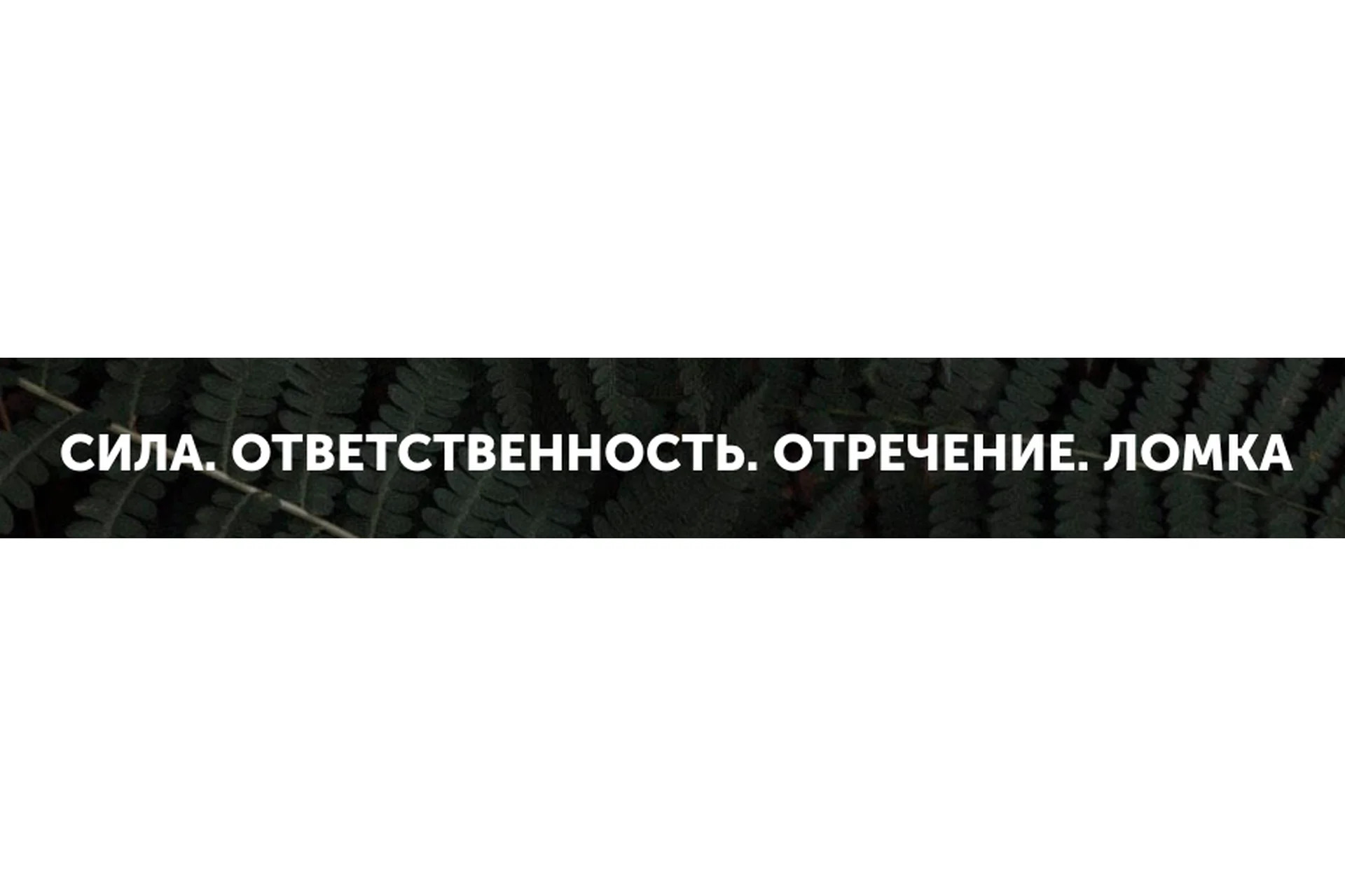 [Врата Миров] Сила. Ответственность. Отчаяние. Ломка (Ольга Веремеева), фото 1 из 1.