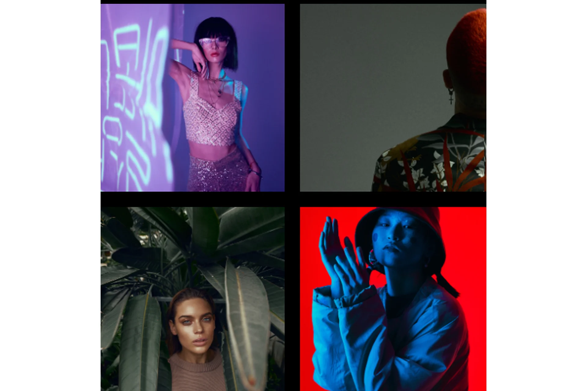 Цветотатство (Никита Журнаков), фото 1 из 1.