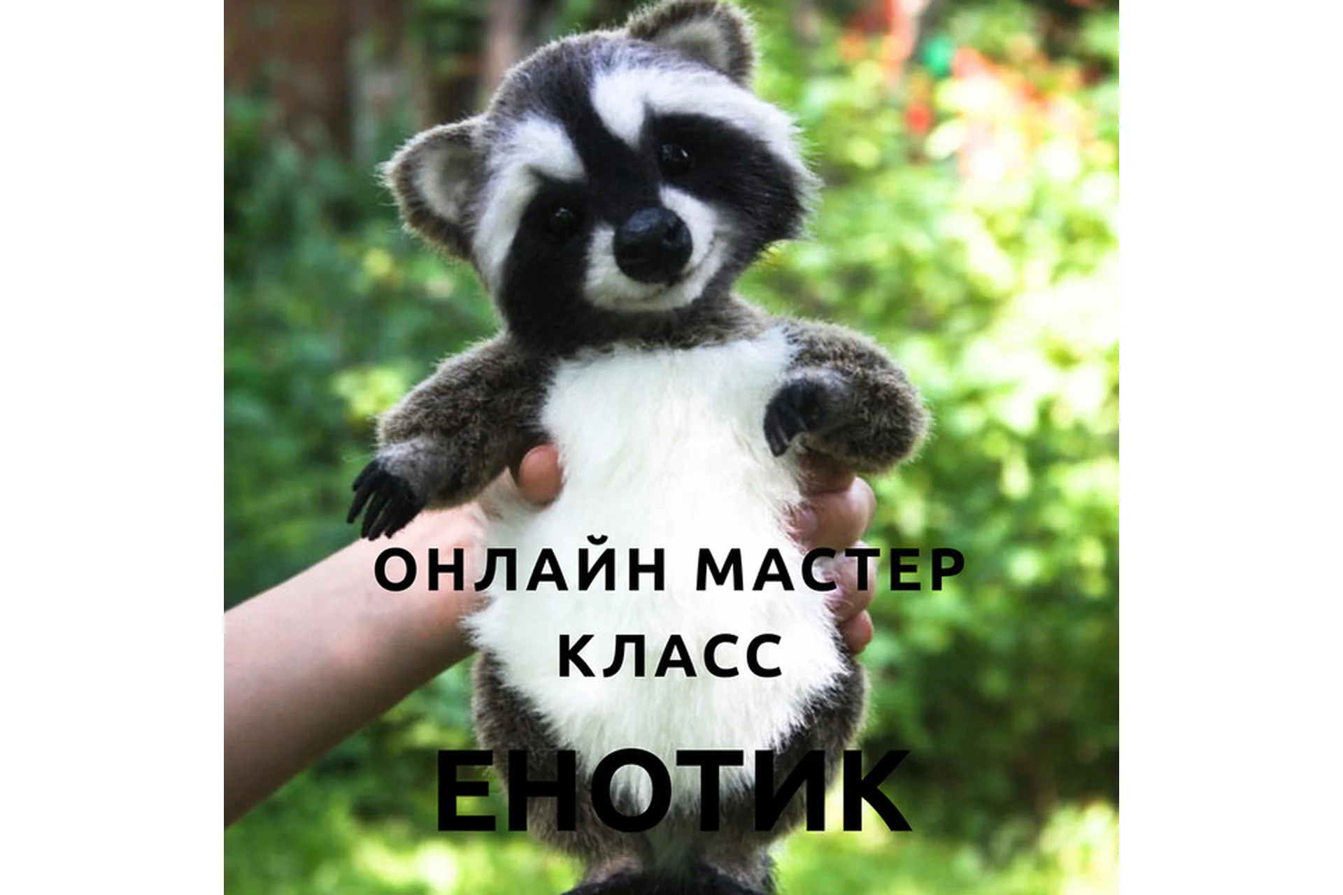 Енотик (Татьяна Кондратьева), фото 1 из 1.