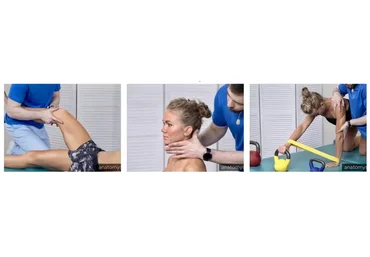 [Анатомия] Терапевтические упражнения  (Андрей Богатырев)