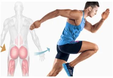 Активация ягодиц 2.0 (Евгений Кадлубинский)