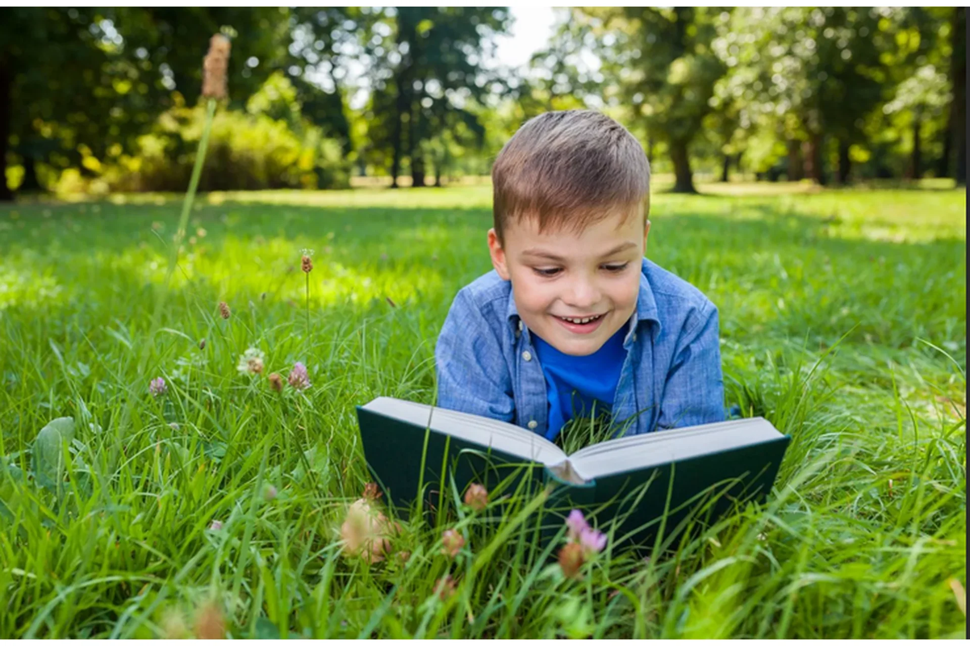 [Умничка] Конспекты занятий по английскому языку для детей 4-6 лет. Весь год (Софья Тимофеева), фото 1 из 1.