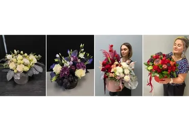 [Ovoshi] Шляпные коробки. Тариф «Эксклюзив» (Алина Ройтман)