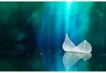 Современные расстановки и полевая терапия. Базовый курс. Онлайн-версия 2022 (Елена Веселаго)