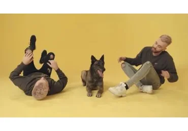 [Okidog Academy] Дрессировка собак. Спецкурс «Трюки»