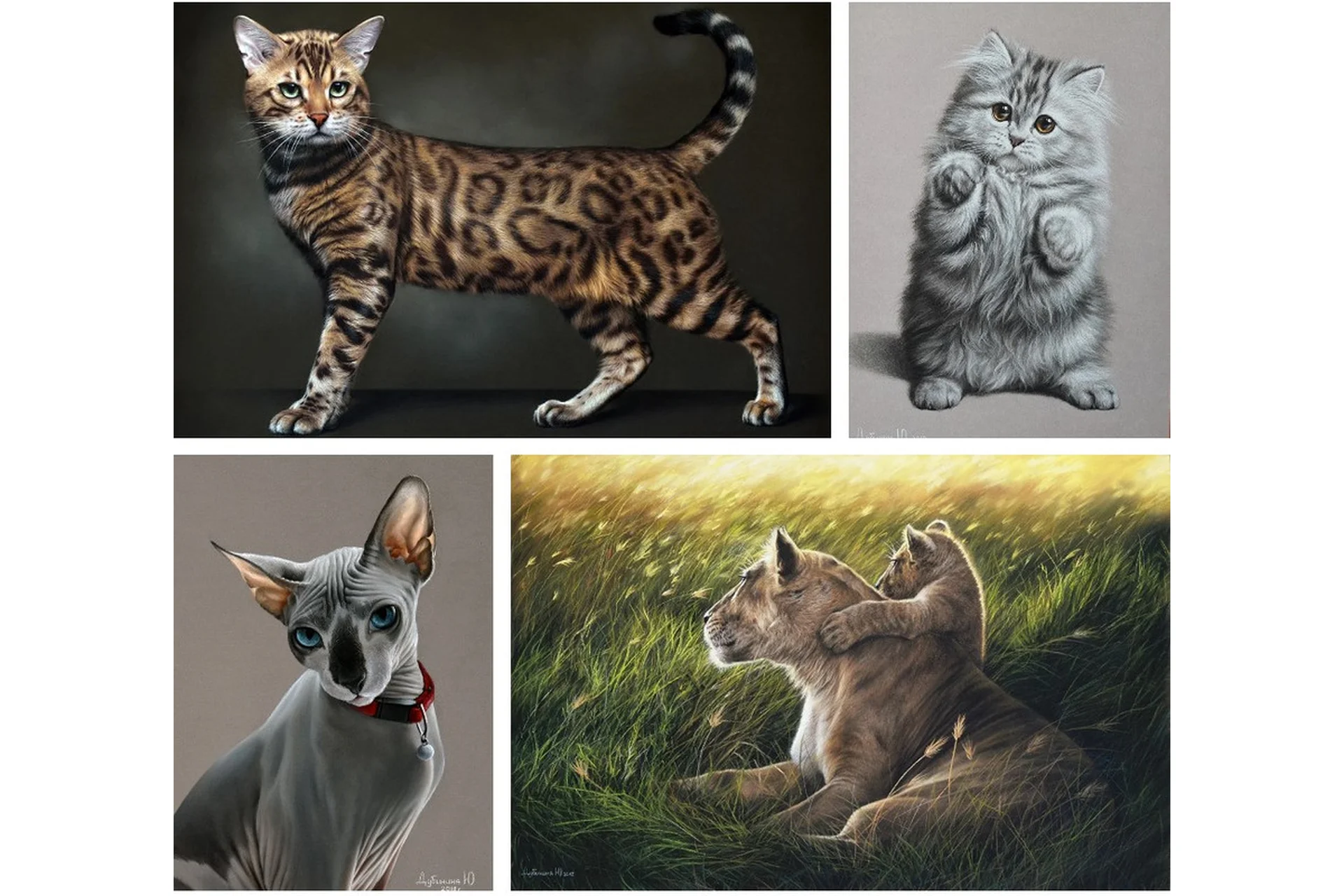 Кошачьи (Юлия Дубинина), фото 1 из 1.