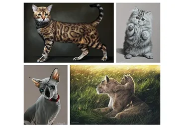 Кошачьи (Юлия Дубинина)