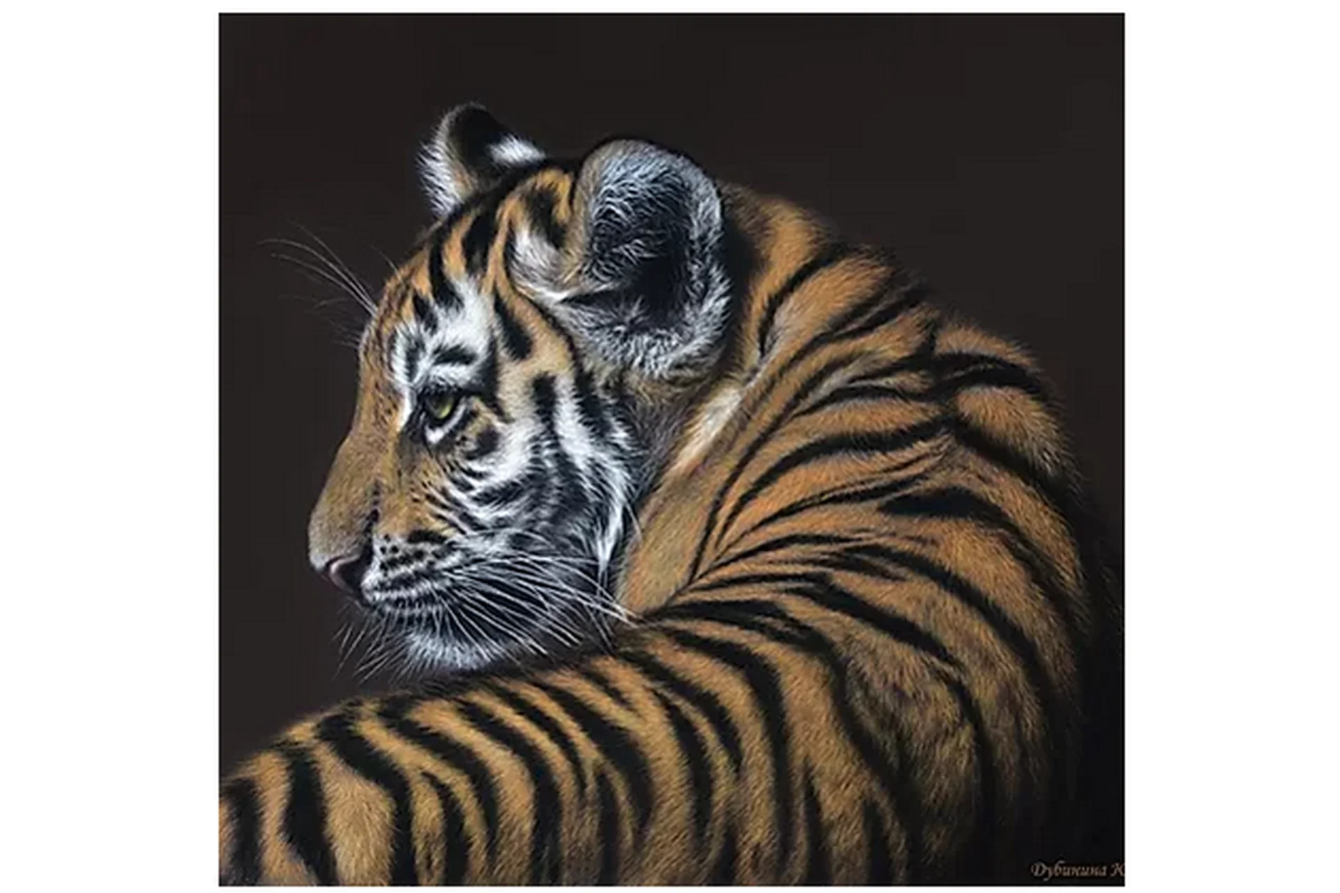 Пастельная живопись. Тигренок. Кошачьи (Юлия Дубинина), фото 1 из 1.