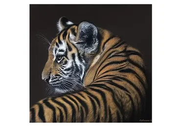 Пастельная живопись. Тигренок. Кошачьи (Юлия Дубинина)