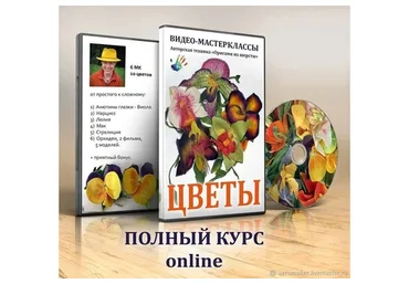 Цветы из войлока  (Оксана Калинина)