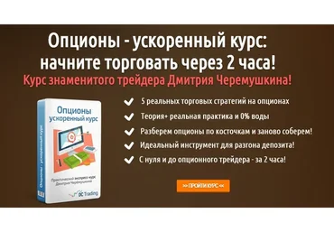Опционы-ускоренный курс: начните торговать через 2 часа (Дмитрий Черемушкин)