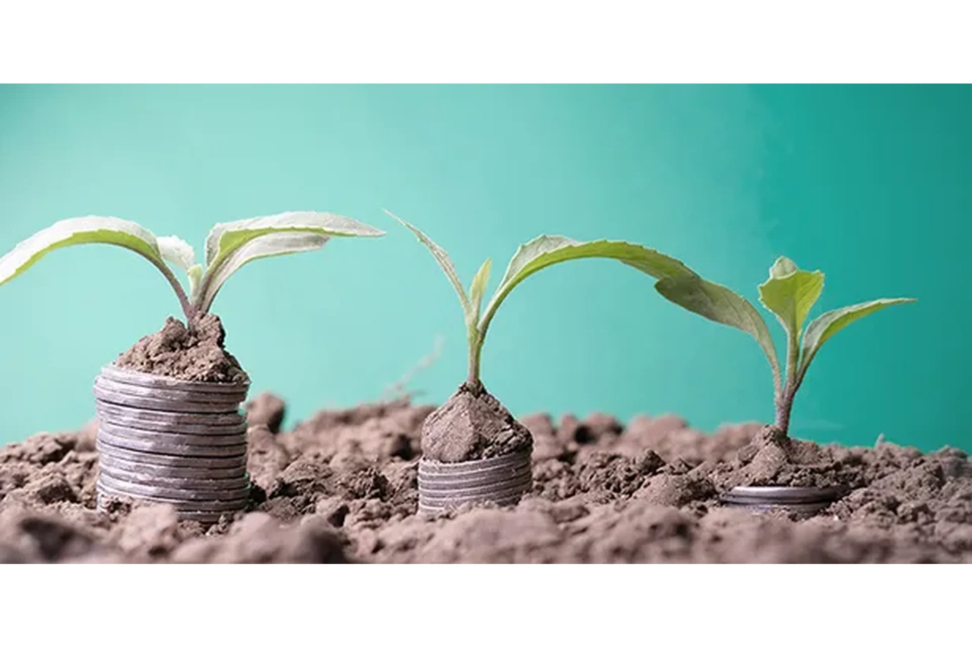 [Деловая среда Сбер, РАНХиГС] Ключевые моменты выживания стартапа в первый год существования, фото 1 из 1.