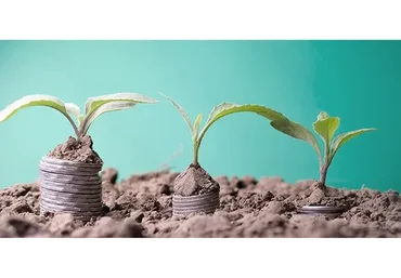 [Деловая среда Сбер, РАНХиГС] Ключевые моменты выживания стартапа в первый год существования