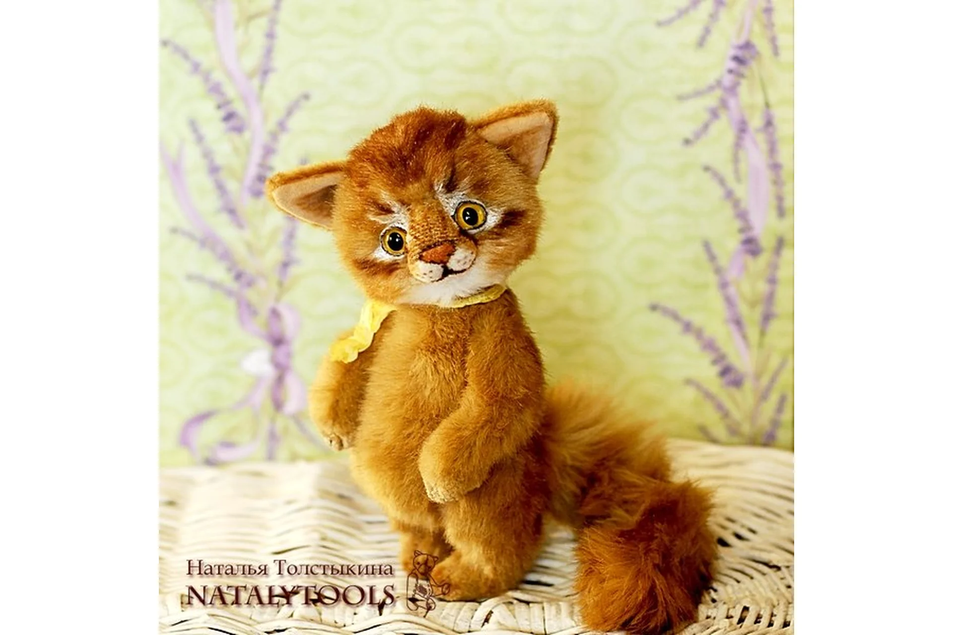 Кот (Наталья Толстыкина), фото 1 из 1.