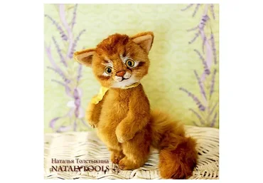 Кот (Наталья Толстыкина)