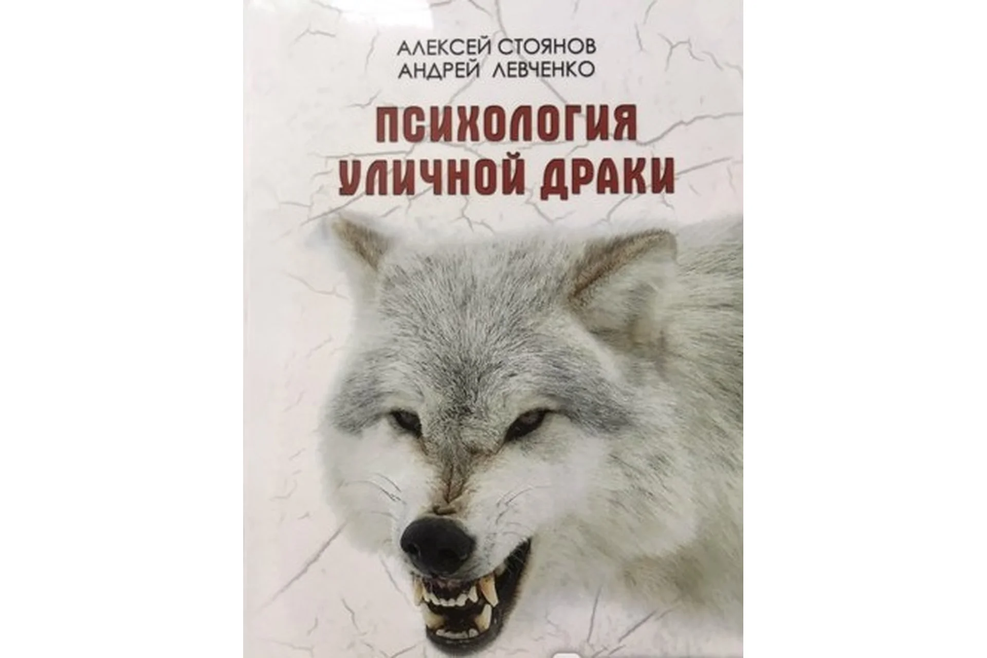 Психология уличной драки, 2019 (Андрей Левченко, Алексей Стоянов), фото 1 из 1.