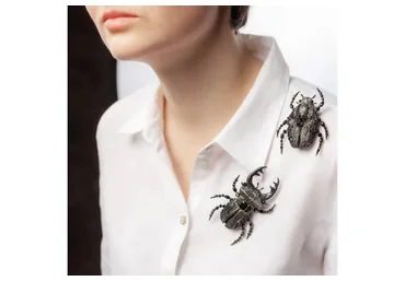 Жук Голиаф (jboyarskaya)