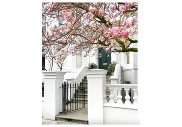 Дом мечты  (Анастасия Петрова)