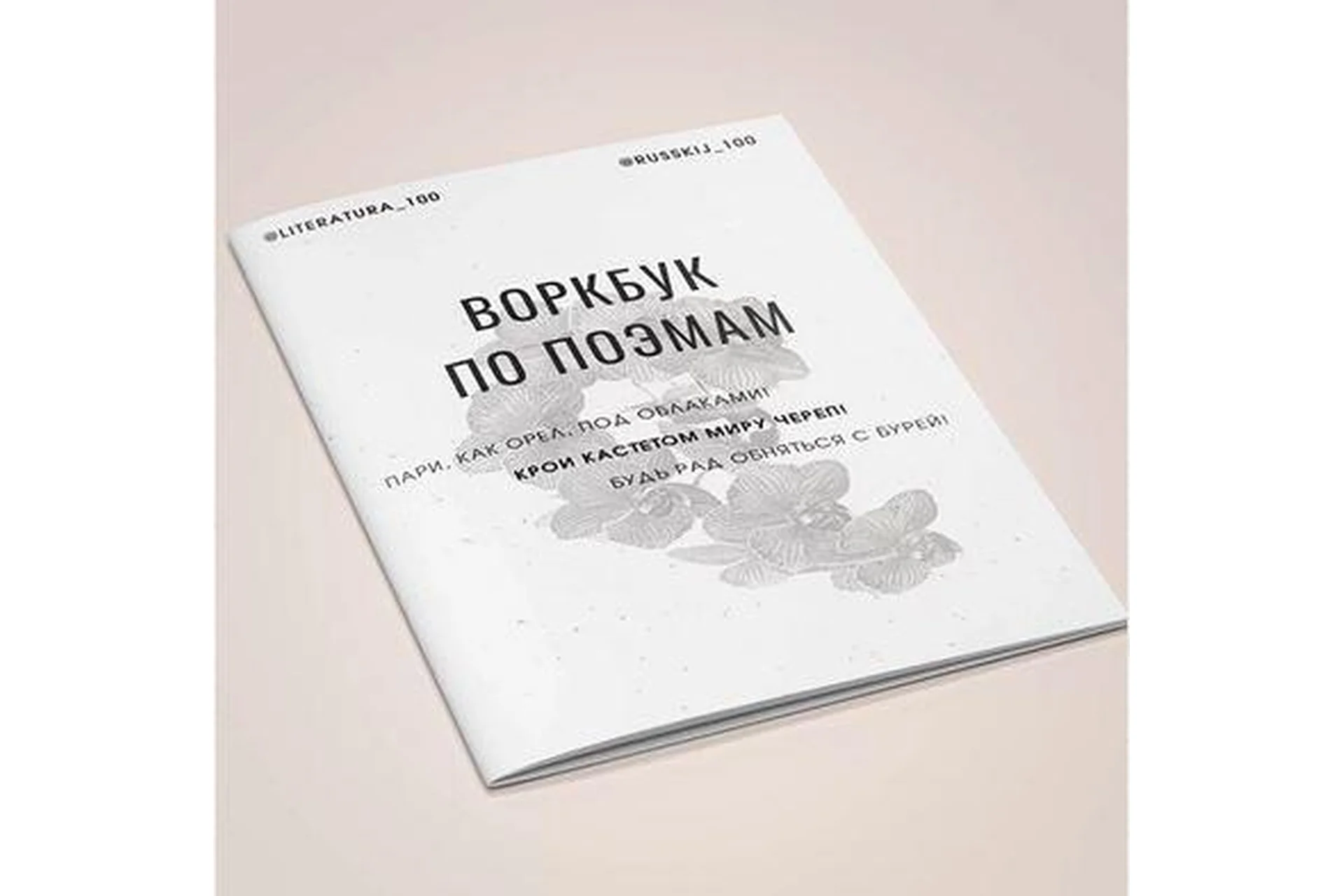 [literatura100] Воркбук по поэмам (Виктория Алексеева), фото 1 из 1.