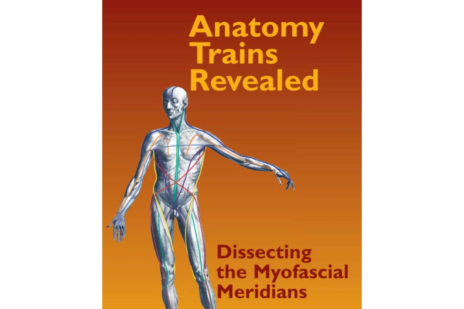 Анатомические поезда в реальности, DVD 2 (Томас Майерс), фото 1 из 1.