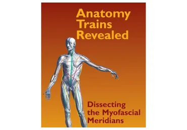 Анатомические поезда в реальности, DVD 2 (Томас Майерс)