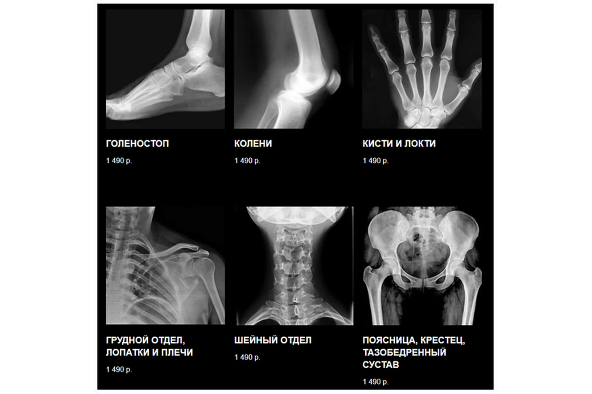 Полный курс ЛФК. Все 6 лекций (Виктор Блуд, Владимир Демченко), фото 1 из 1.