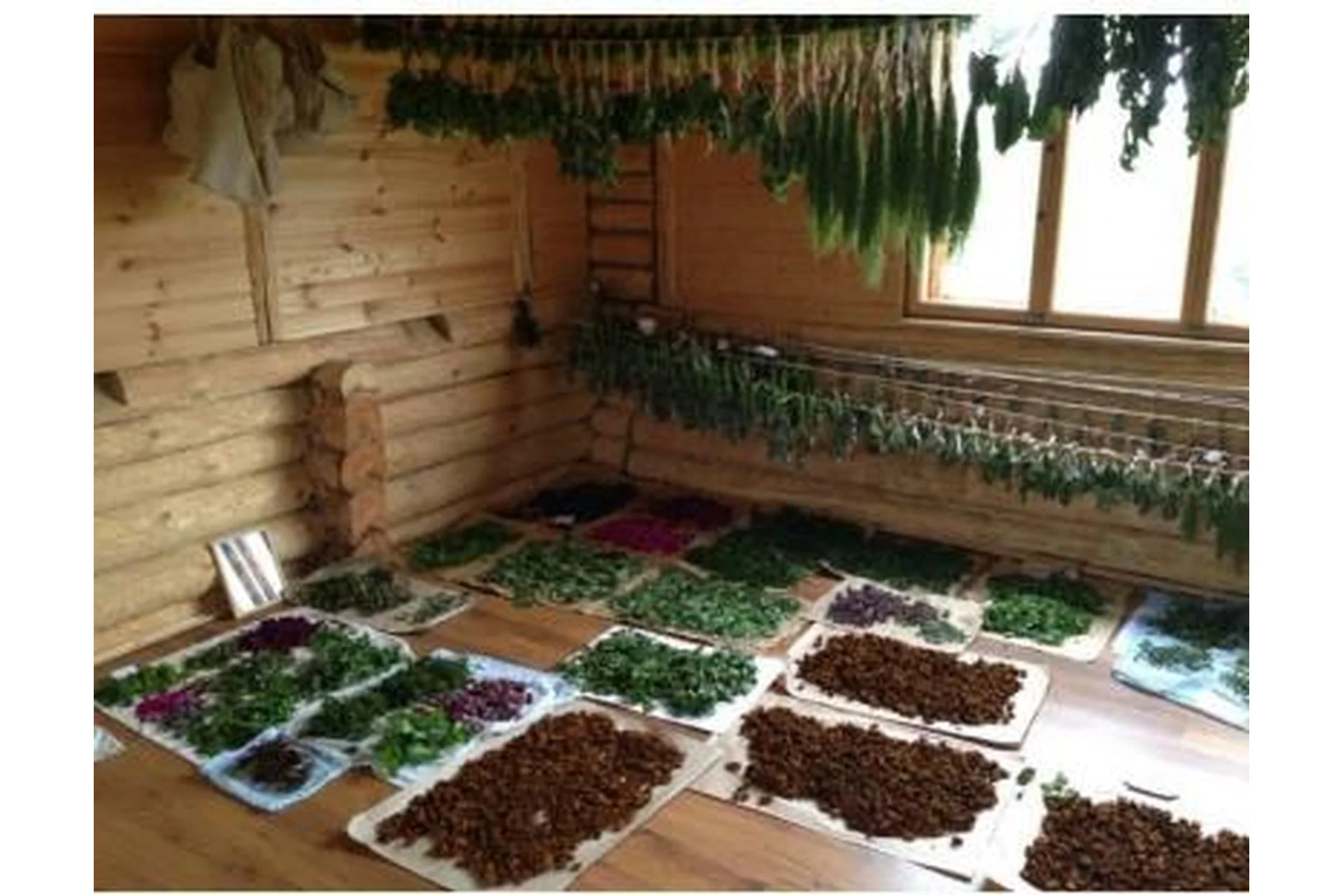 Травничество: целительство, волошба, свечи (Алена Полынь), фото 1 из 1.