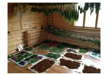 Травничество: целительство, волошба, свечи (Алена Полынь)