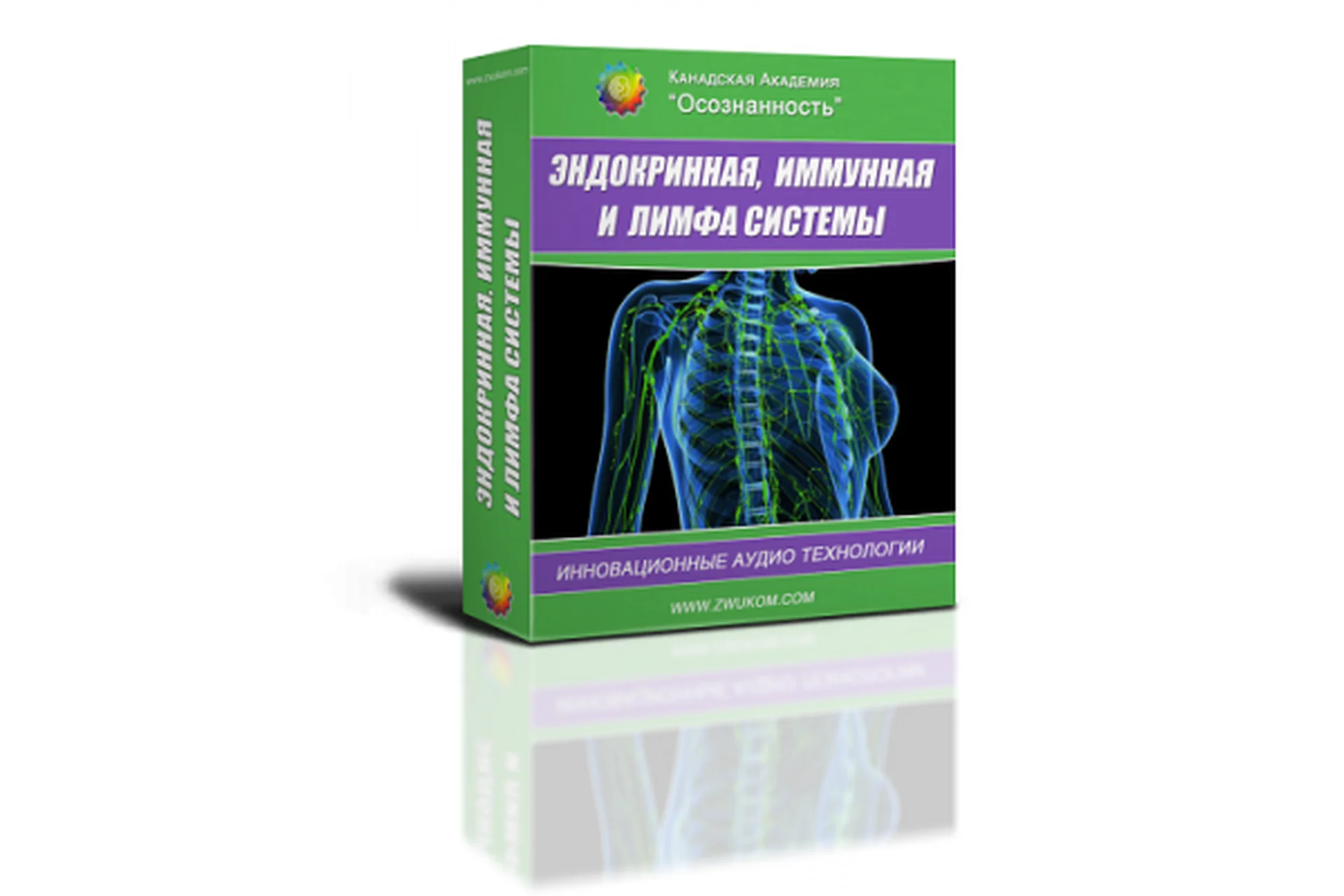 Эндокринная, иммунная и лимфа системы (программа для женщин) (Алла и Игорь Ревенко), фото 1 из 1.