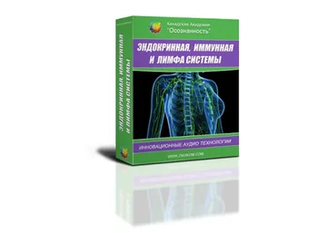 Эндокринная, иммунная и лимфа системы (программа для женщин) (Алла и Игорь Ревенко)