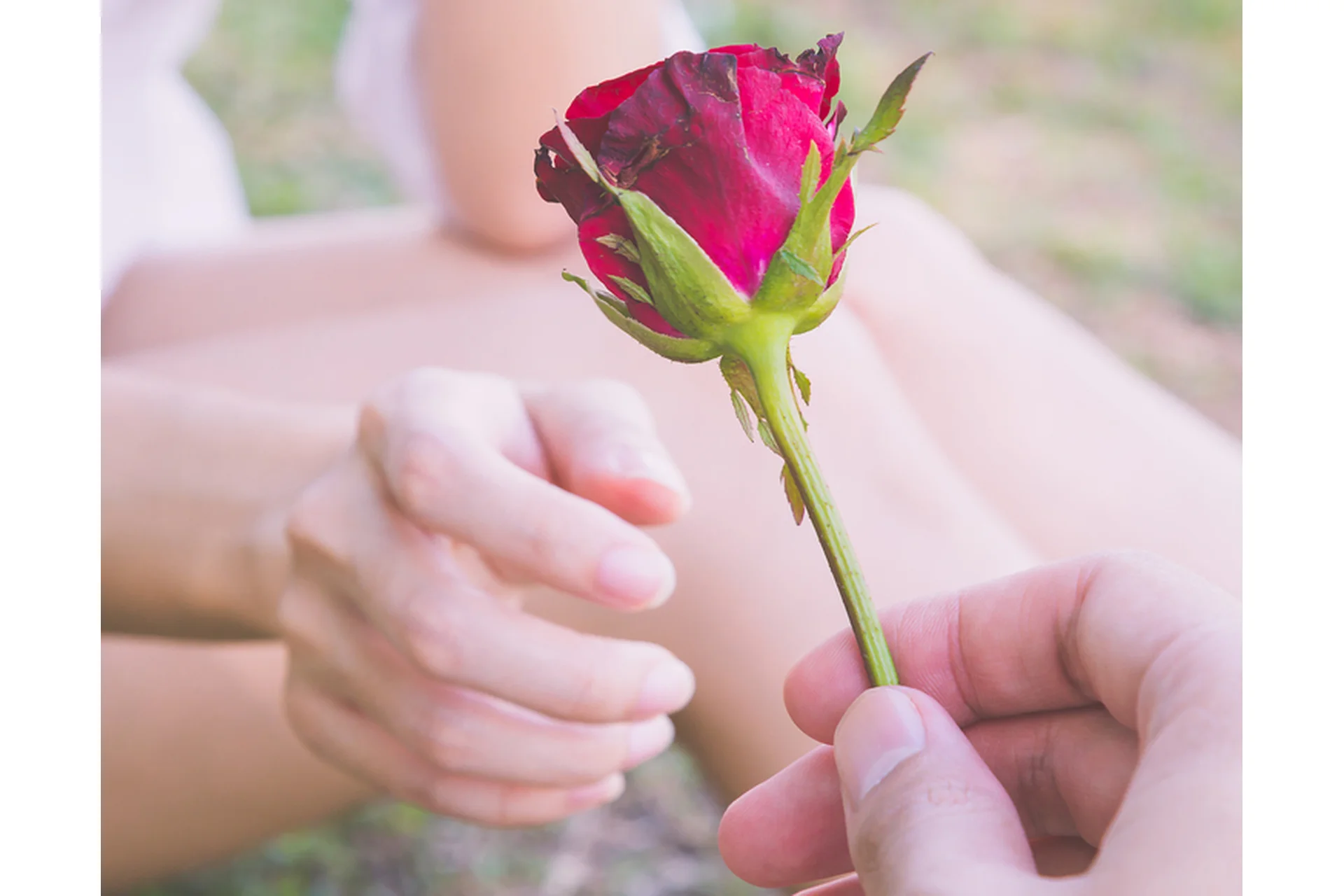 Поле для двоих. Онлайн версия (Елена Веселаго), фото 1 из 1.