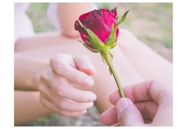 Поле для двоих. Онлайн версия (Елена Веселаго)