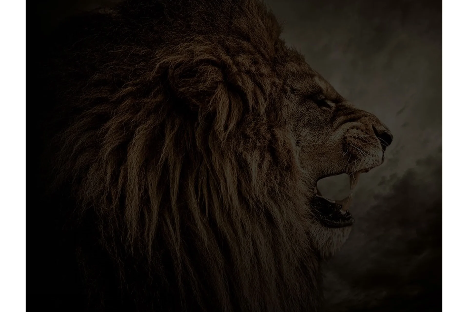 Самомотивация. Летний набор, 2015 (Филипп Богачев), фото 1 из 1.