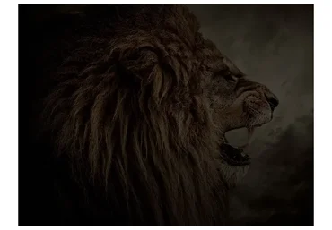 Самомотивация. Летний набор, 2015 (Филипп Богачев)