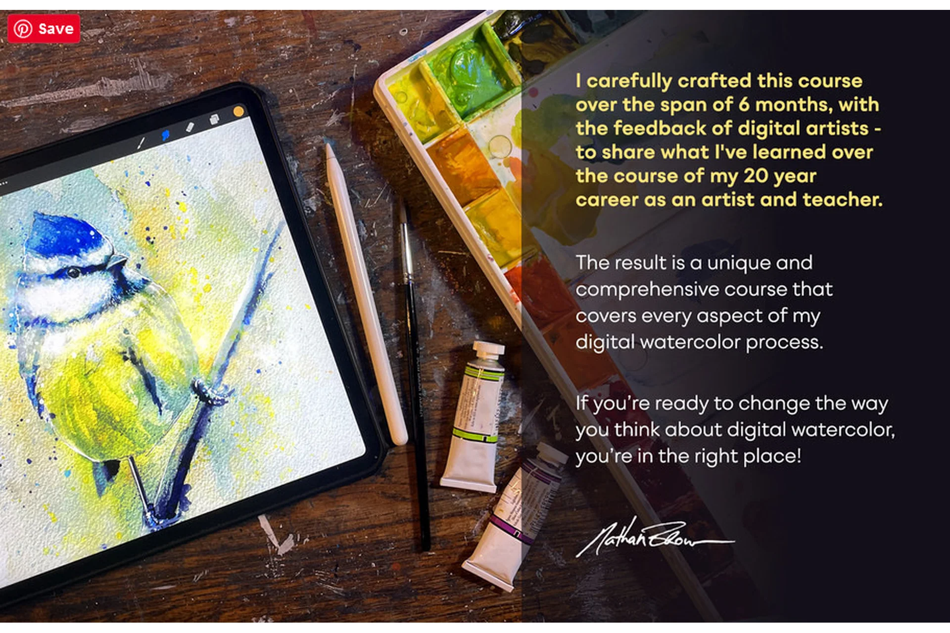 Мастер-класс по акварельной иллюстрации в Procreate (Nathan Brown), фото 1 из 1.