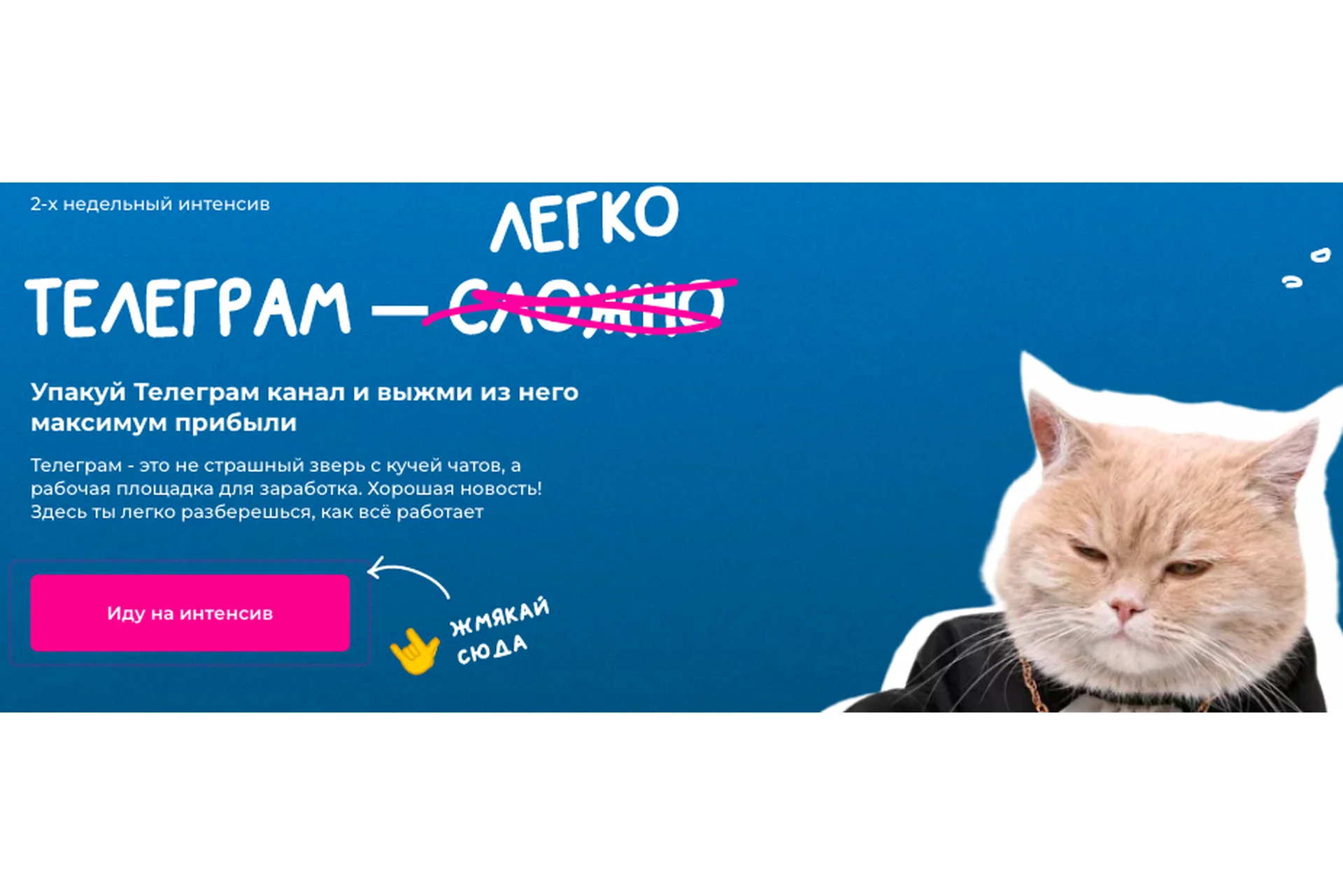 [Тома Т] Телеграм легко. Тариф Котик в телеграм (Тома Саркулова), фото 1 из 1.