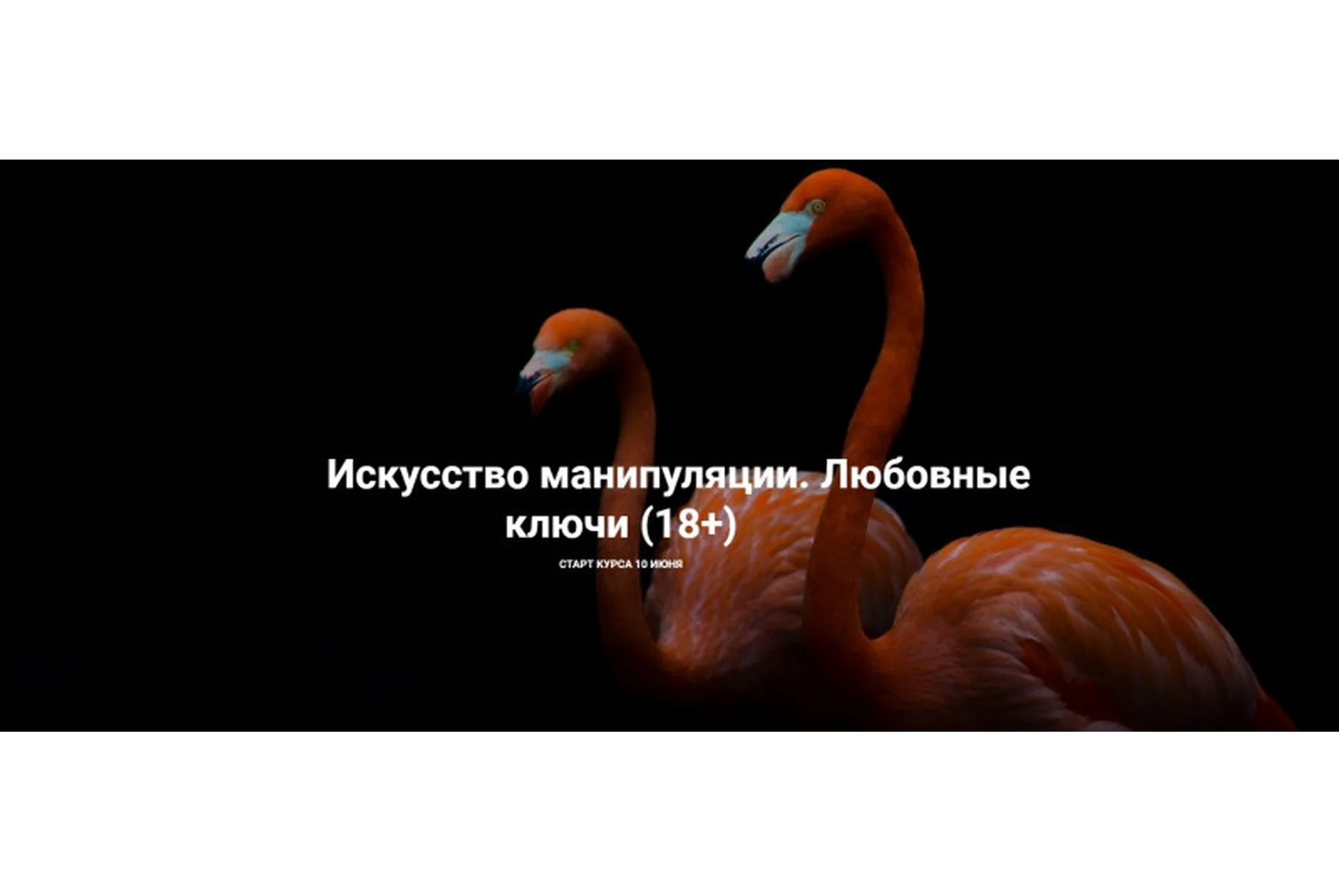 [Школа интервью Бу-бу-бу] Искусство манипуляции. Любовные ключи, 18+ (Рада Русских, Ольга Чебыкина), фото 1 из 1.