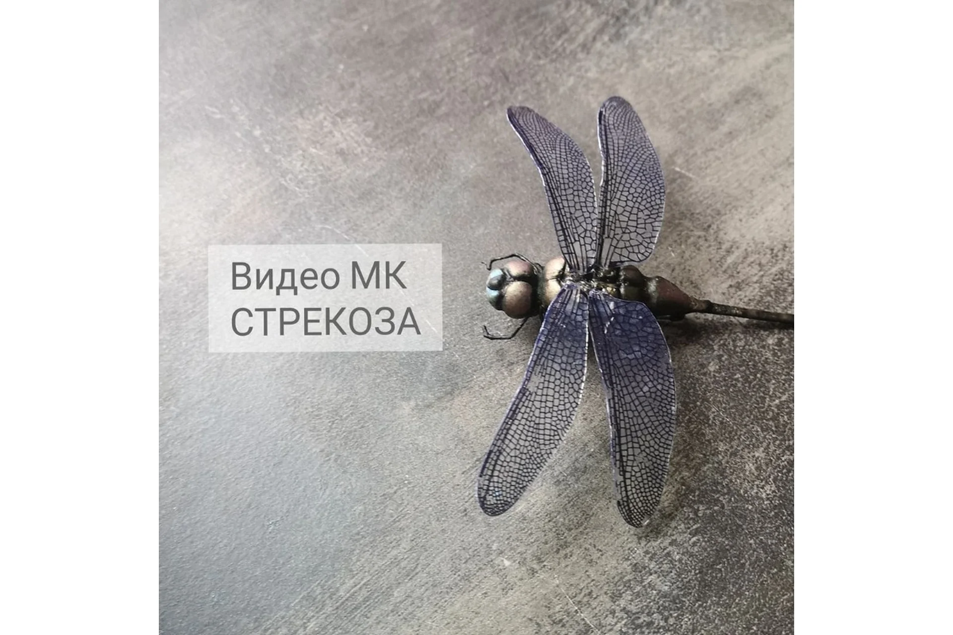 Стрекоза (Анна Рудая), фото 1 из 1.