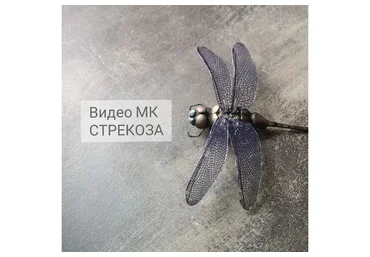 Стрекоза (Анна Рудая)
