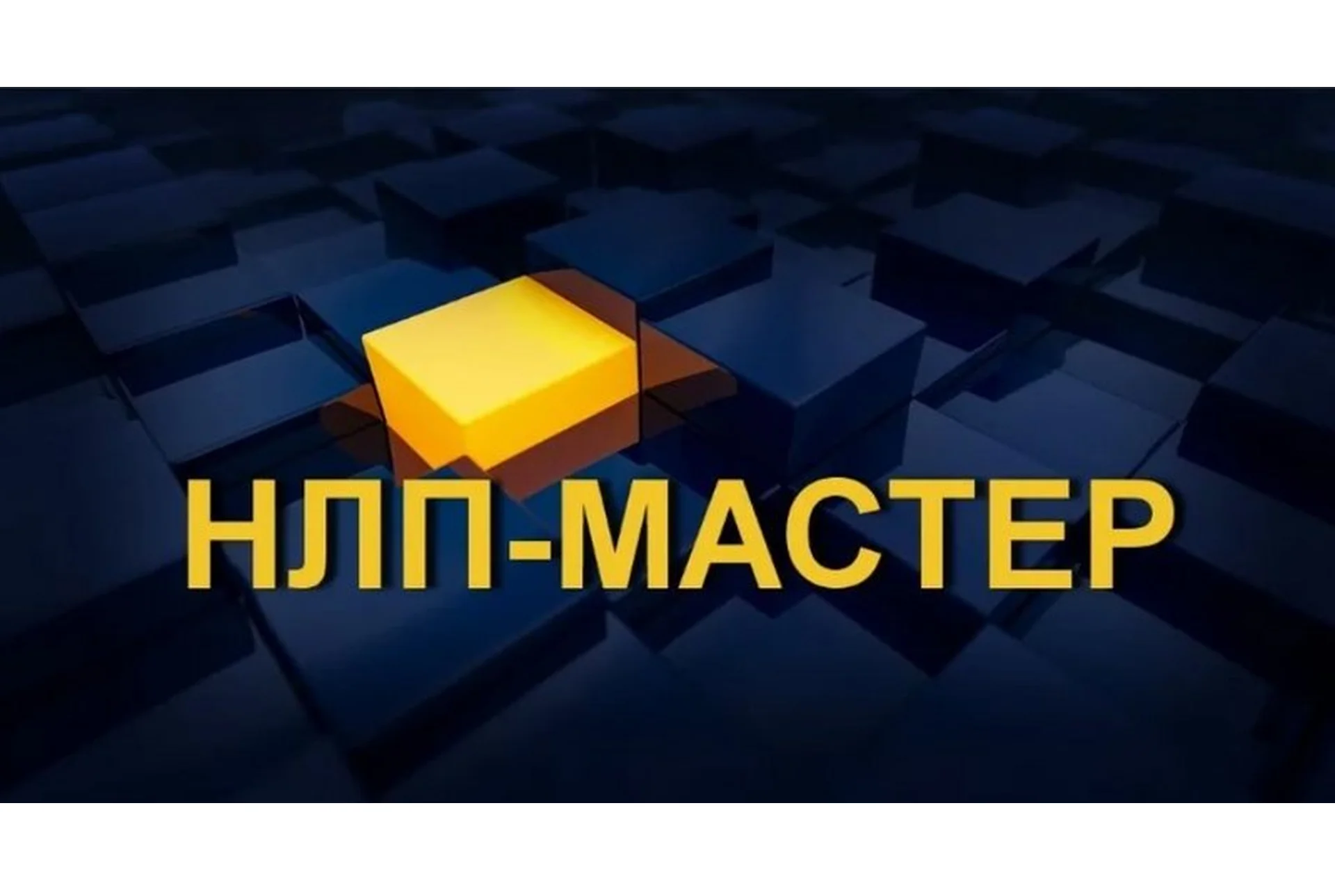 Мастер НЛП. Комплексное нейропрограммирование (Валерий Шелгинский, Светлана Горюнова), фото 1 из 1.