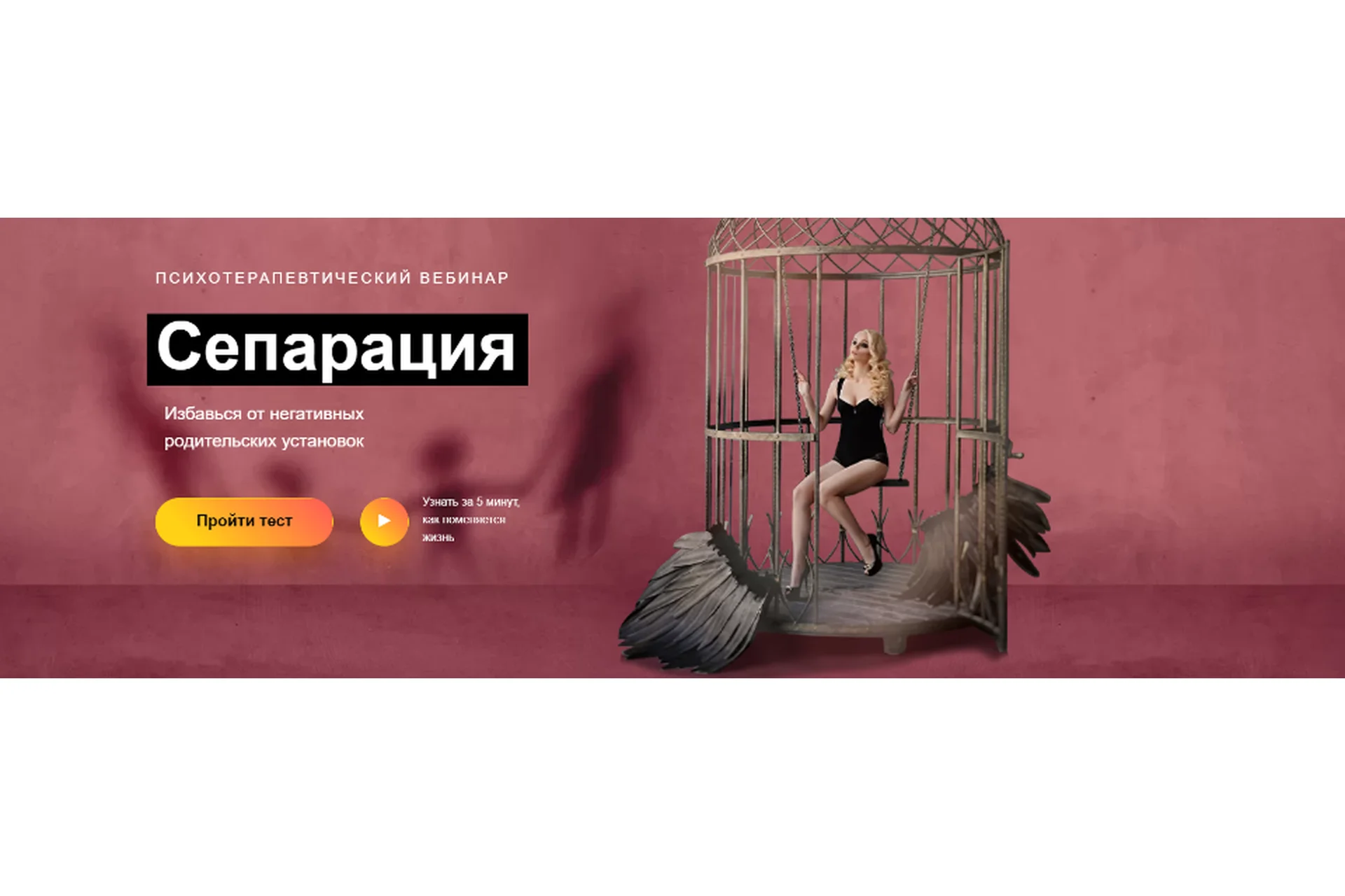 Сепарация. Как избавиться от негативных родительских установок (Александр Шахов), фото 1 из 1.