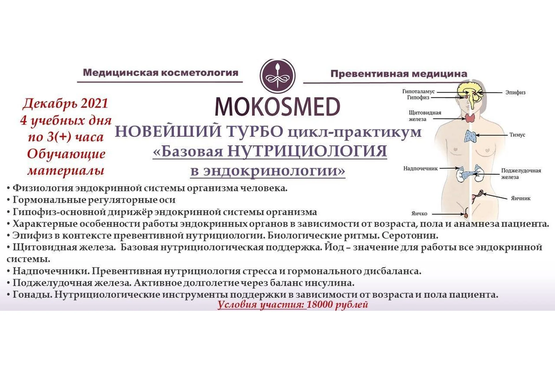 [mokosmed] Новейший турбо цикл-практикум «Базовая нутрициология в эндокринологии» (Мария Моргунова), фото 1 из 1.