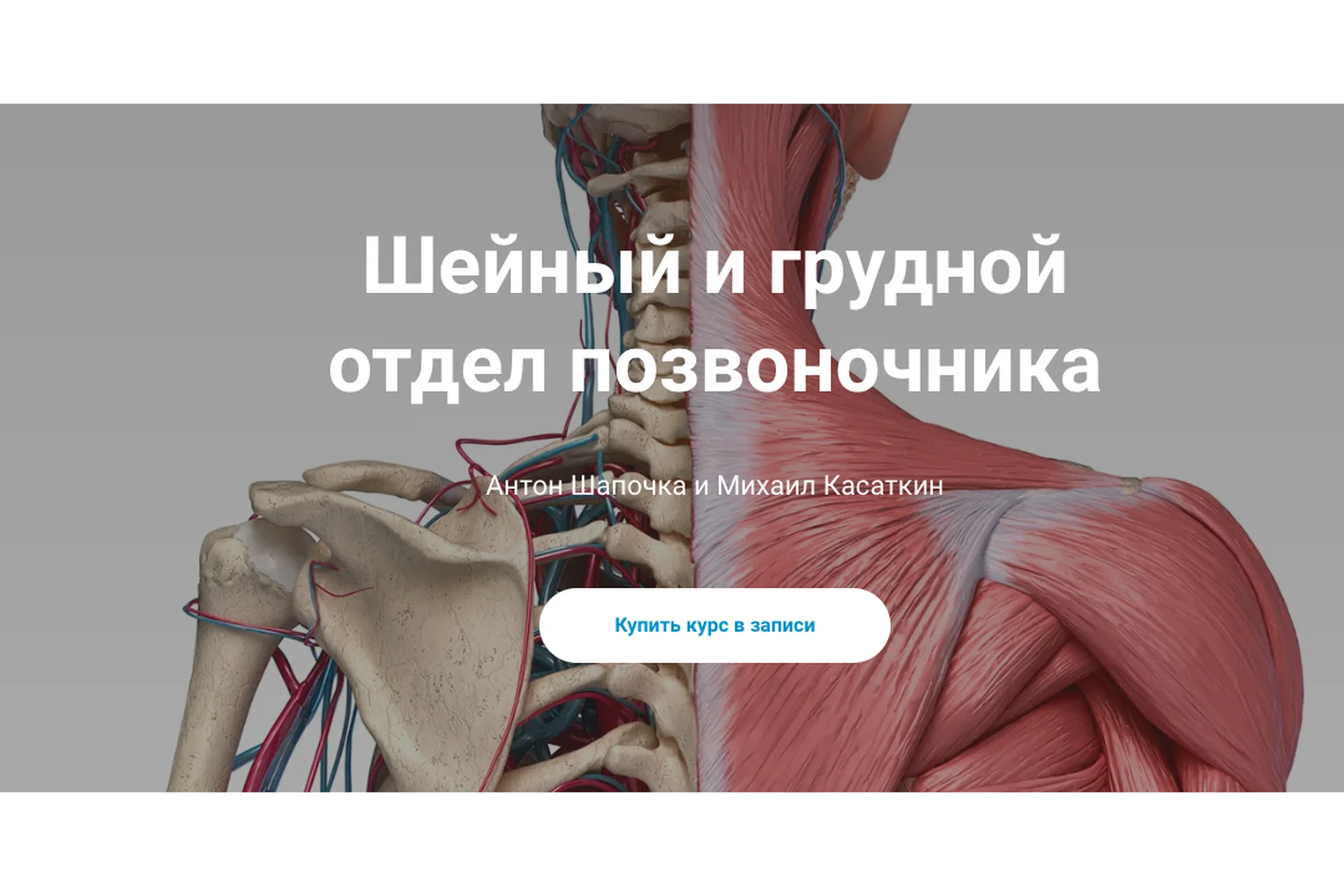 [kineziocourse] Шейный и грудной отдел позвоночника (Михаил Касаткин, Антон Шапочка), фото 1 из 1.