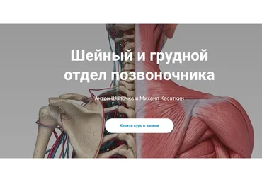[kineziocourse] Шейный и грудной отдел позвоночника (Михаил Касаткин, Антон Шапочка)